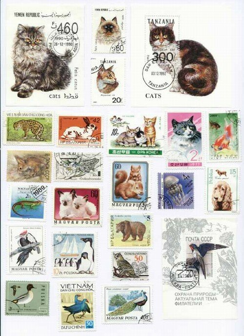Коллекция марок на тему «Животные»; собаки, кошки, медведи, уточки, ласточки, пингвины, павлины, рыбы, заяц, леопард