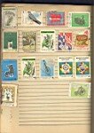 Labels of matchboxes, Phillumeny for collector